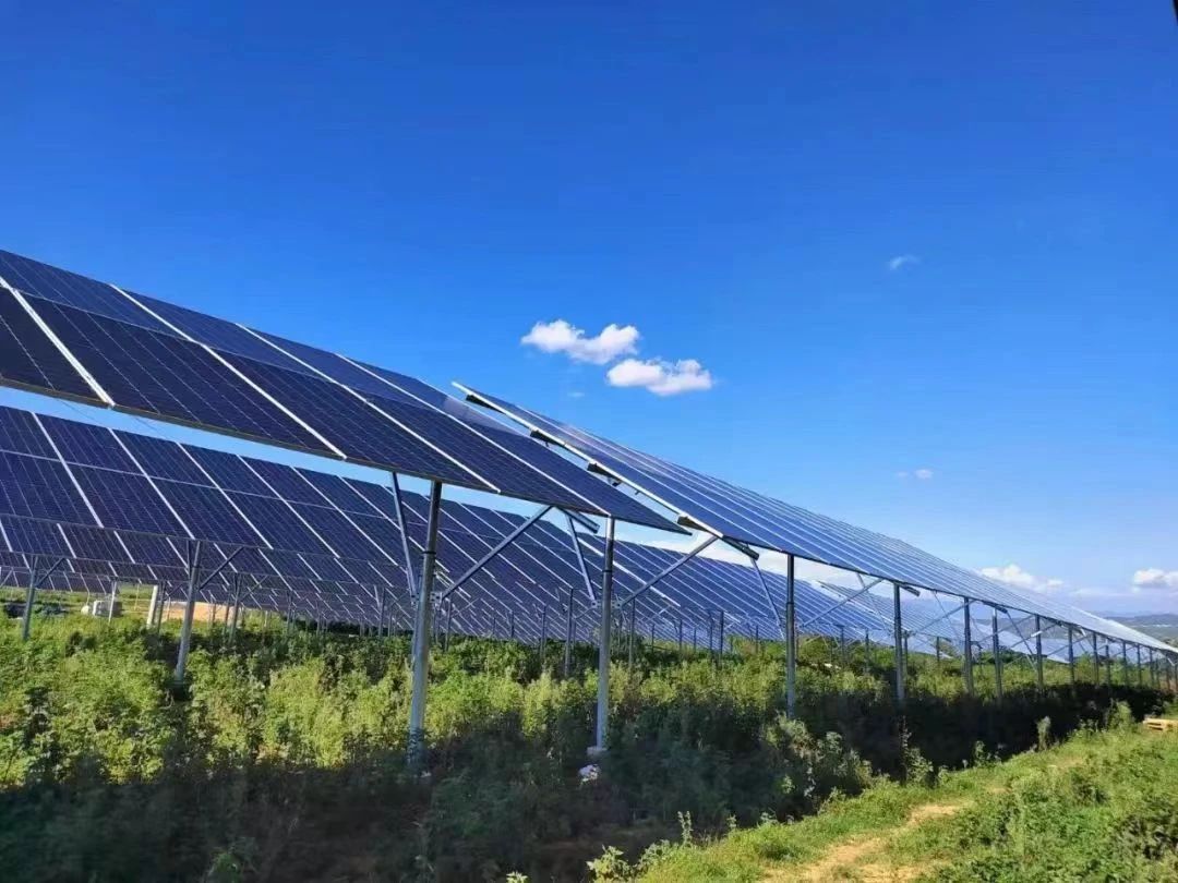 1692665562348247.jpg 微信圖片_20230822085125_1.jpg