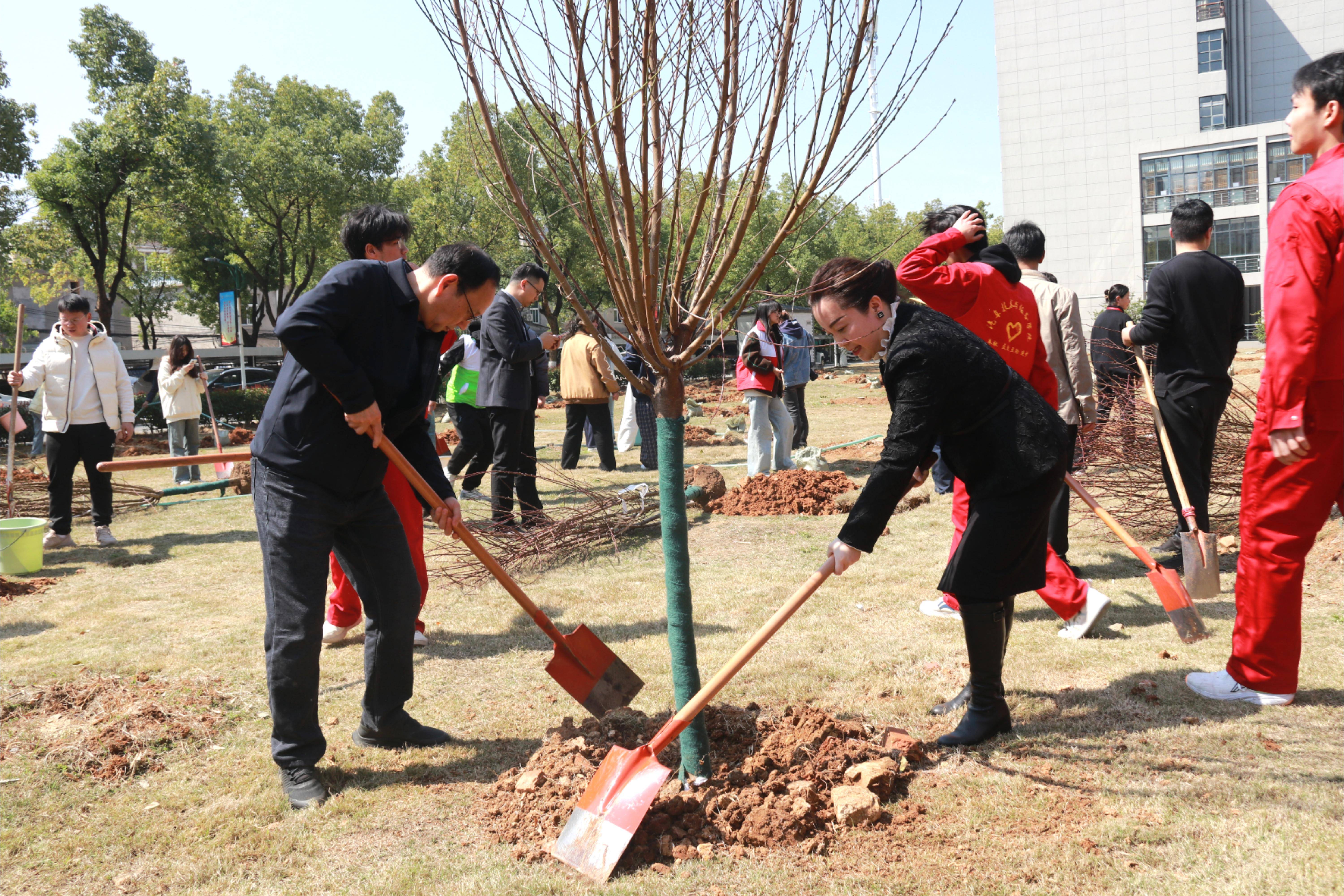 1746840135254570.jpg 1746840135254570.jpg