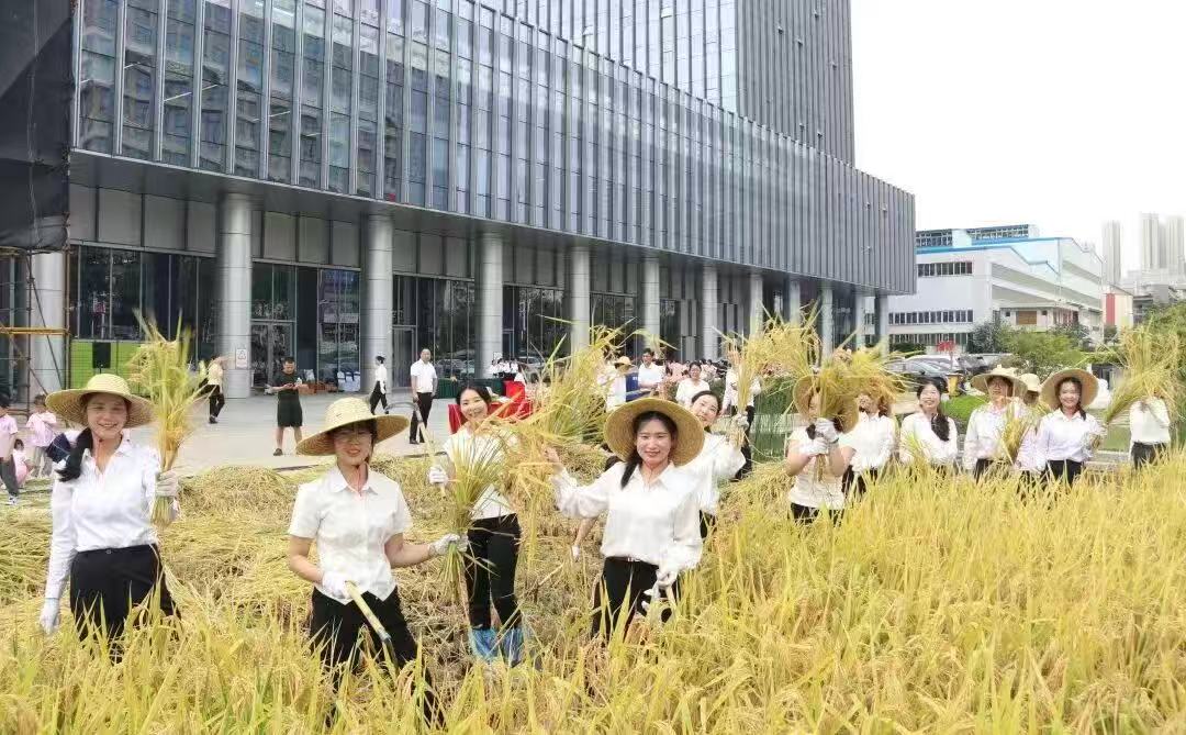 1762505485816766.jpg 1762505485816766.jpg